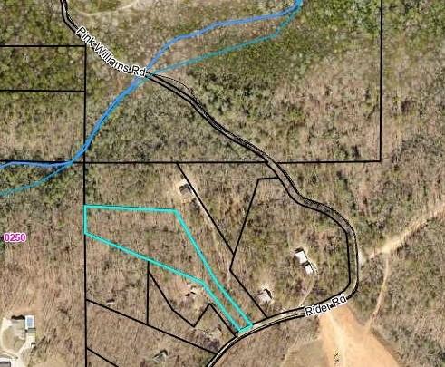 0 Rider Road Dawsonville, GA 30534 - Photo 4 of 13