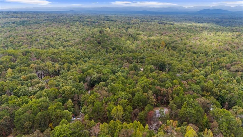 0 Rider Road Dawsonville, GA 30534 - Photo 5 of 13