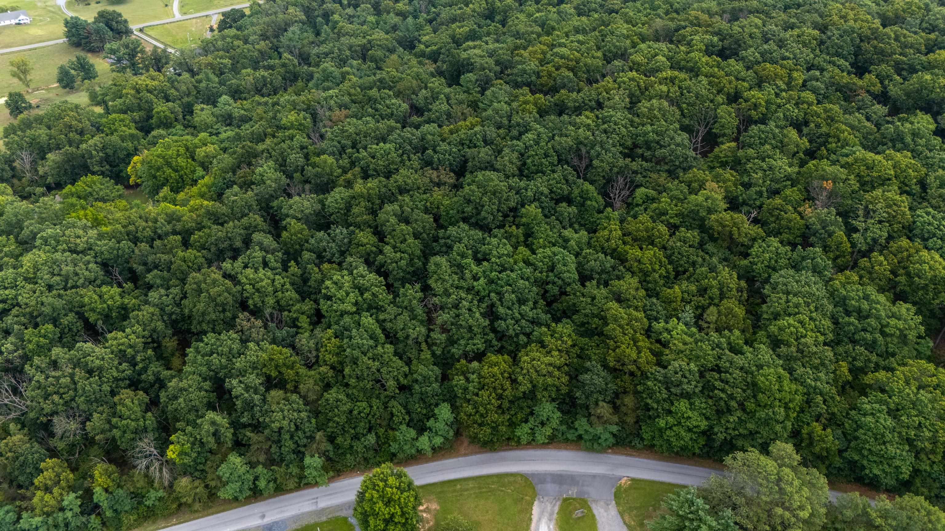 0 Pine Bluff Road Waynesboro, VA 22980 - Photo 14 of 29 Gallery Image 14