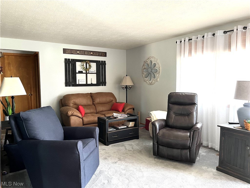 700 Springfield Road, Unit F Columbiana, OH 44408 - Photo 9 of 26