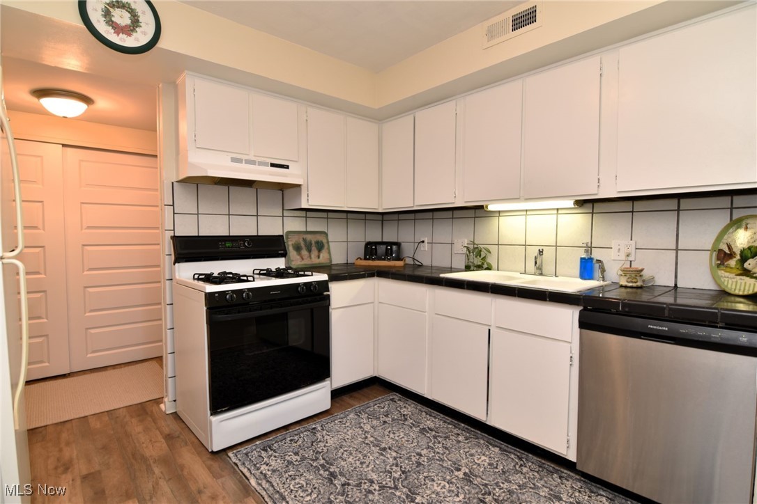 1105 Canyon View Road, Unit 602 Northfield, OH 44067 - Photo 6 of 31 Kitchen