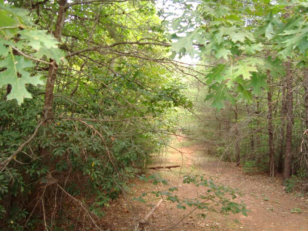 0 Fern Glen Road Tryon, NC 28782 - Photo 4 of 5