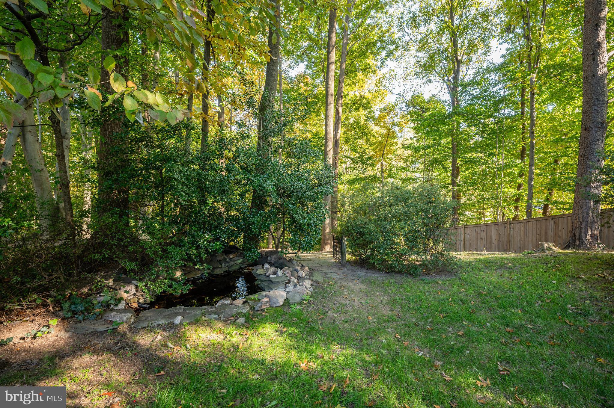 8701 Middleford Drive Springfield, VA 22153 - Photo 45 of 55