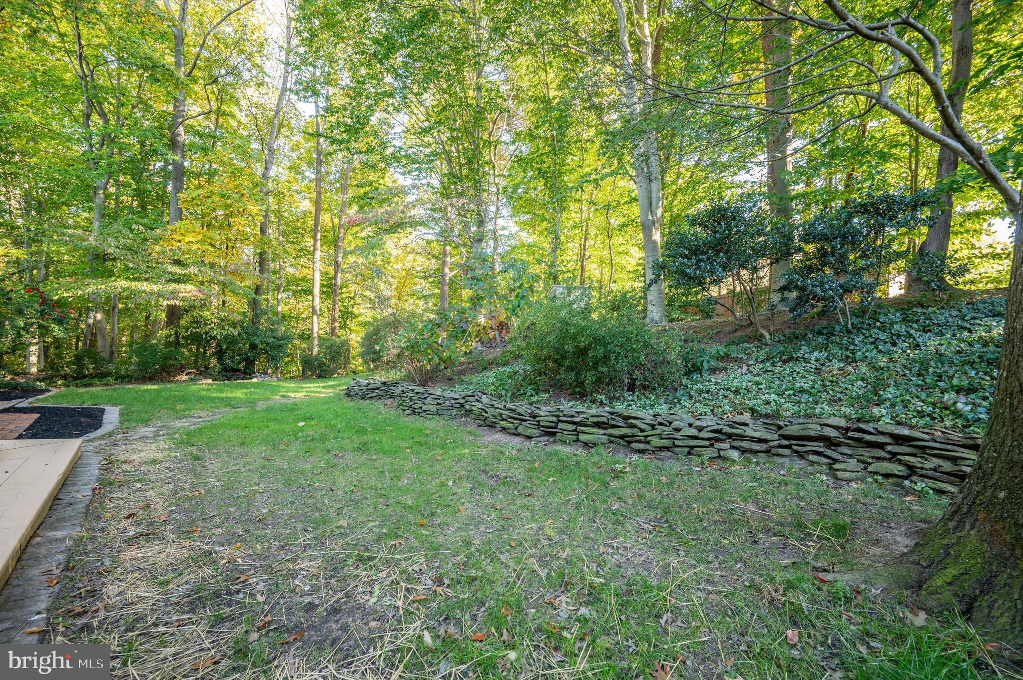 8701 Middleford Drive Springfield, VA 22153 - Photo 51 of 55