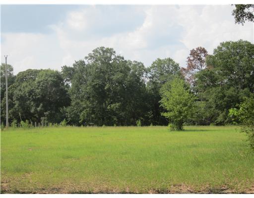 21245 Houston Ladner Road Saucier, MS 39574 - Photo 3 of 16 Additional Photo