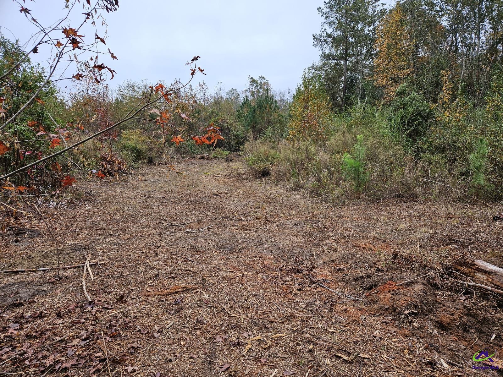 0 Willow Lake Road Fort Valley, GA 31030 - Photo 3 of 9