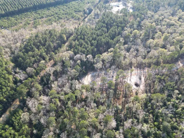 $88,500 | Lot 6 Livingston Farms Lane, Livingston, LA 70754
