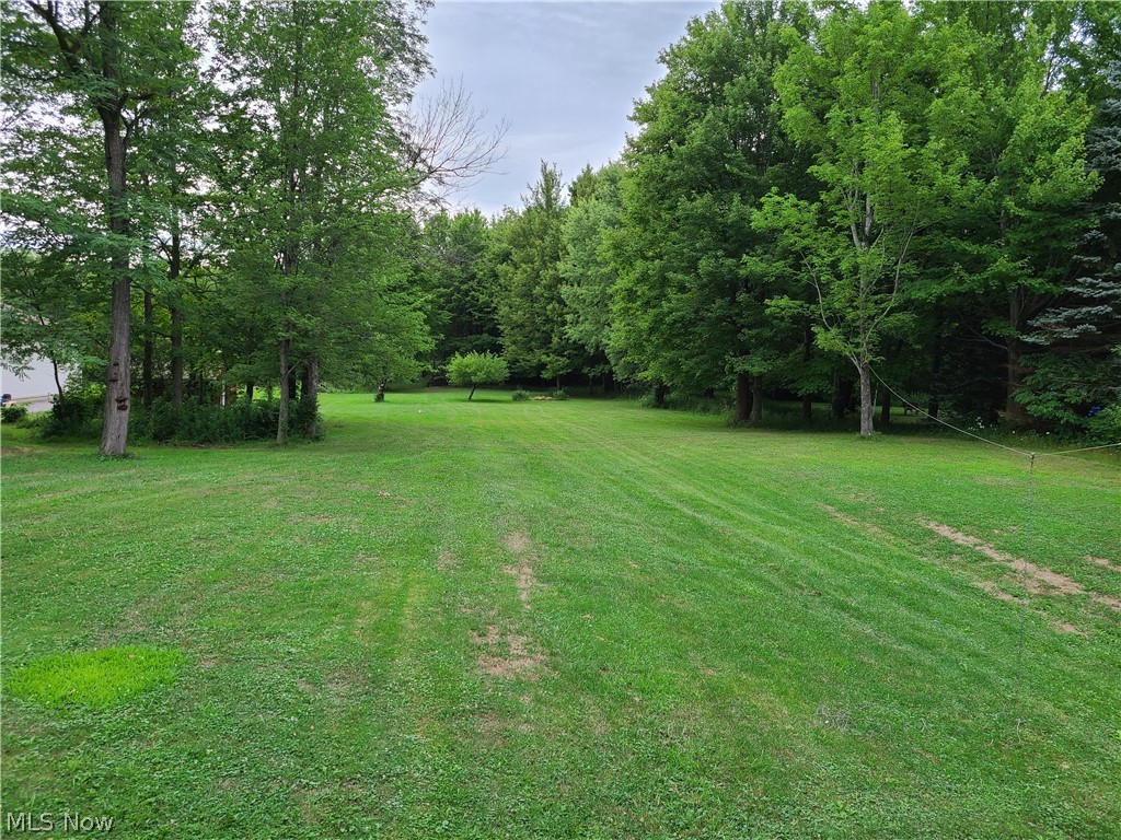 12761 Carter Road Painesville, OH 44077 - Photo 13 of 14 Gallery Image 13