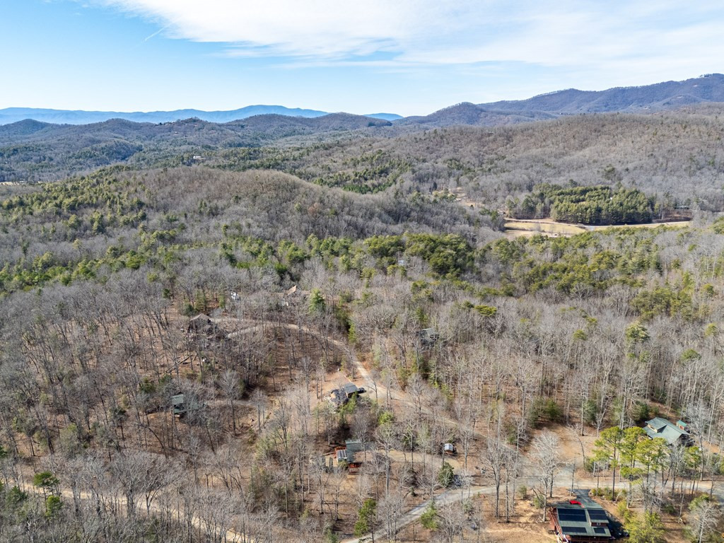 41 Carvers Vw Trail Murphy, NC 28906 - Photo 39 of 46