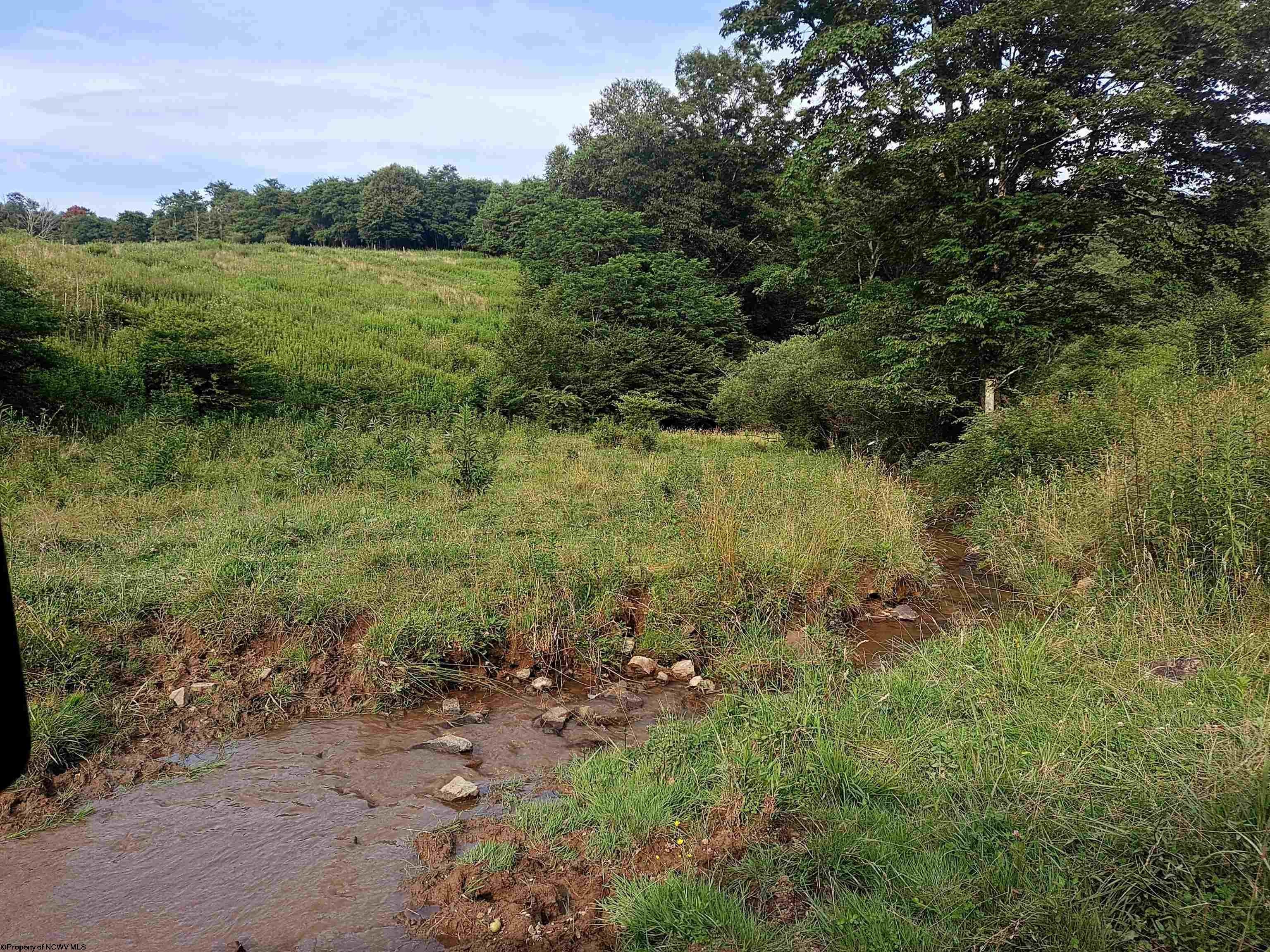 1511 Brady Gate Rd Valley Valley Head, WV 26294 - Photo 11 of 37 Gallery Image 11