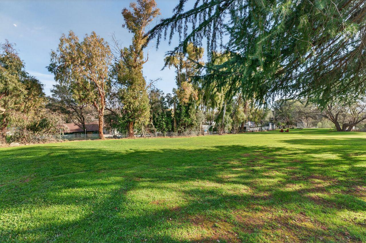 3740 Bell Road Auburn, CA 95602 - Photo 6 of 65 a huge green field with lots of trees
