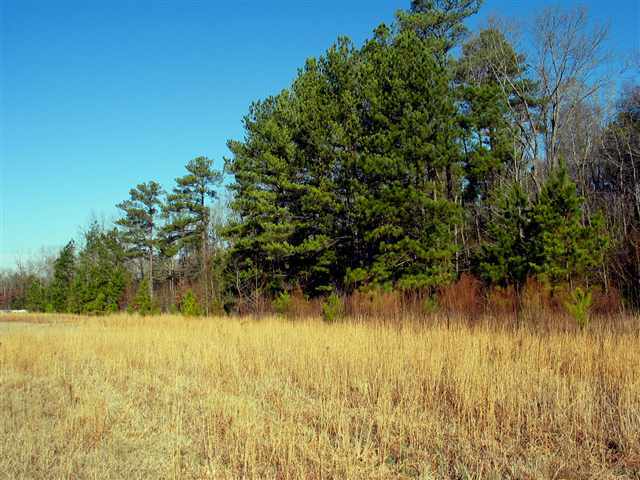 Tbd Lakebay Road Vass, NC 28394 - Photo 2 of 7 Additional Photo