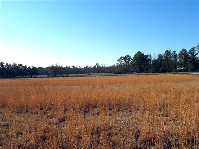 Tbd Lakebay Road Vass, NC 28394 - Photo 3 of 7 Additional Photo