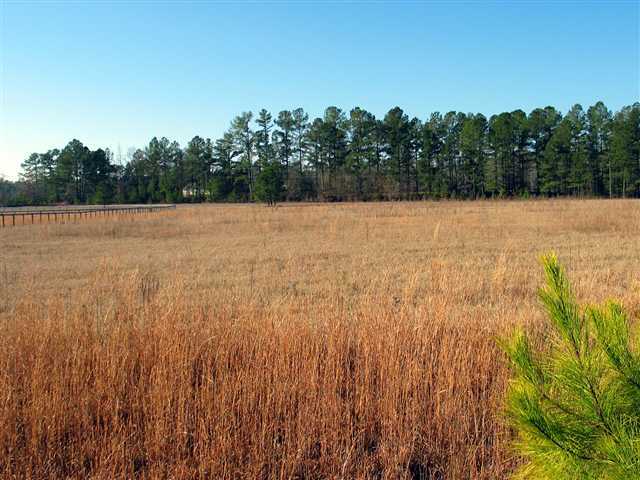 Tbd Lakebay Road Vass, NC 28394 - Photo 4 of 7 Additional Photo