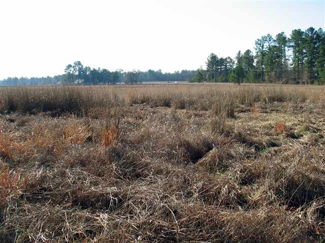 Tbd Lakebay Road Vass, NC 28394 - Photo 5 of 7 Additional Photo