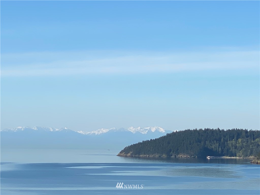 4913 Dundee Drive Anacortes, WA 98221 - Photo 2 of 40 a view of terrace and trees