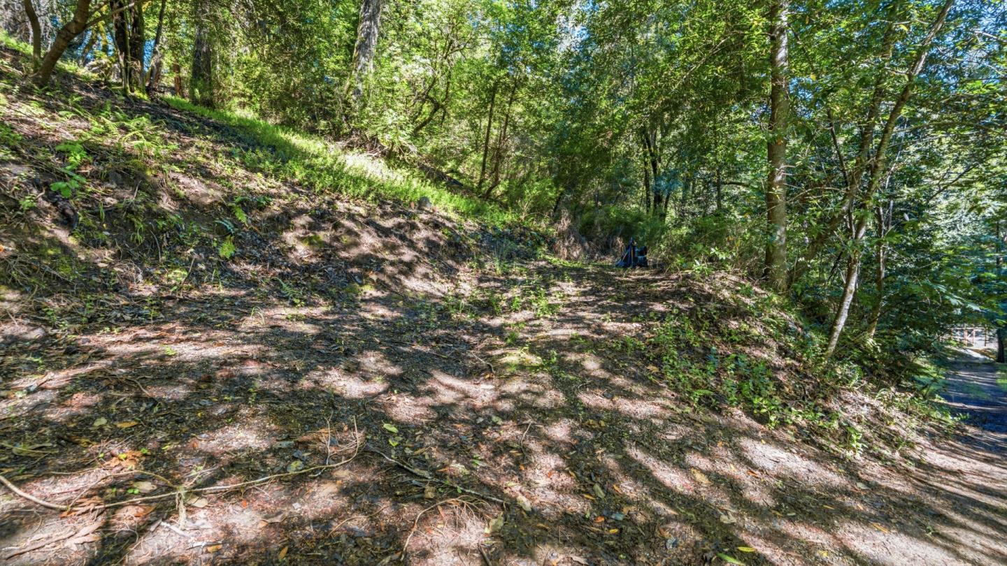 360 Rincon Way Boulder Creek, CA 95006 - Photo 7 of 46