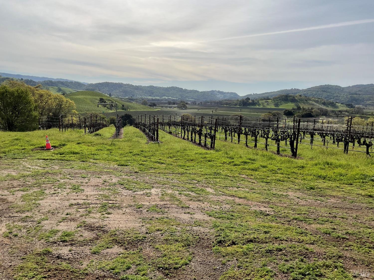 4060 Monticello Road Napa, CA 94558 - Photo 51 of 54