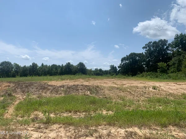 $95,000 | 42 Deerwood Crossing Dr Lake, Lake Cormorant, MS 38641