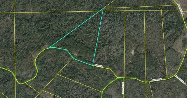 $215,000 | Lot 115 Southwest Lot Road, Greenville, FL 32331