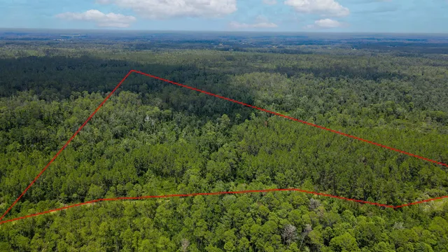 $215,000 | Lot 115 Southwest Lot Road, Greenville, FL 32331
