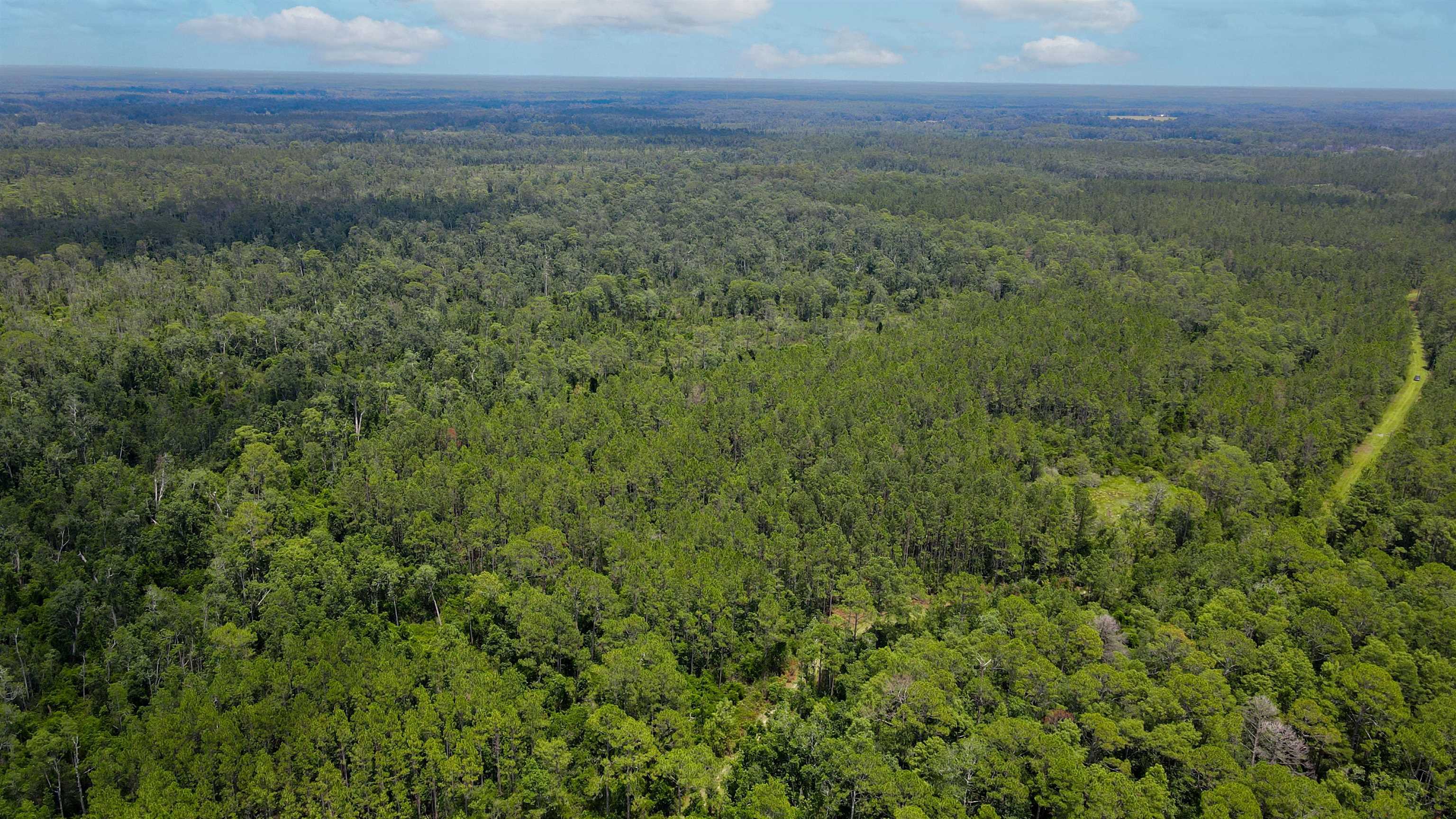 Lot 115 Southwest Lot Road Greenville, FL 32331 - Photo 2 of 12