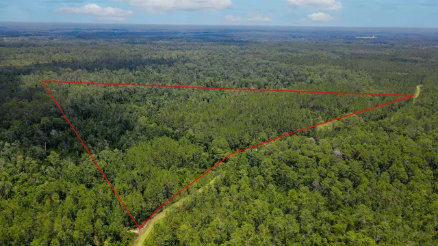 $215,000 | Lot 115 Southwest Lot Road, Greenville, FL 32331