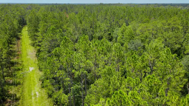 $215,000 | Lot 115 Southwest Lot Road, Greenville, FL 32331