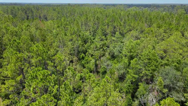 $215,000 | Lot 115 Southwest Lot Road, Greenville, FL 32331