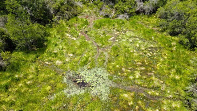 $215,000 | Lot 115 Southwest Lot Road, Greenville, FL 32331