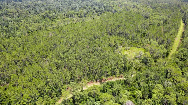 $215,000 | Lot 115 Southwest Lot Road, Greenville, FL 32331