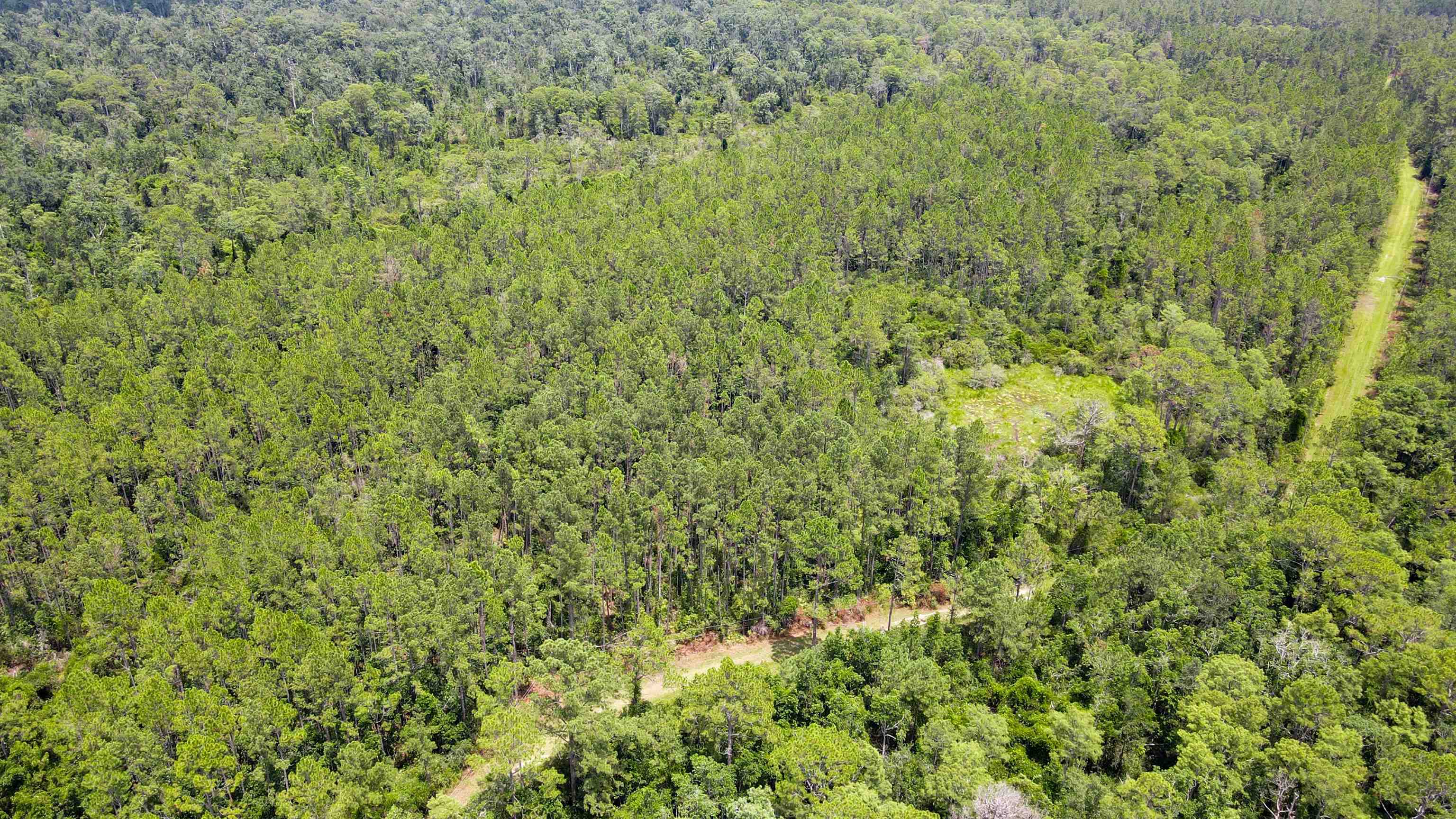 Lot 115 Southwest Lot Road Greenville, FL 32331 - Photo 9 of 12