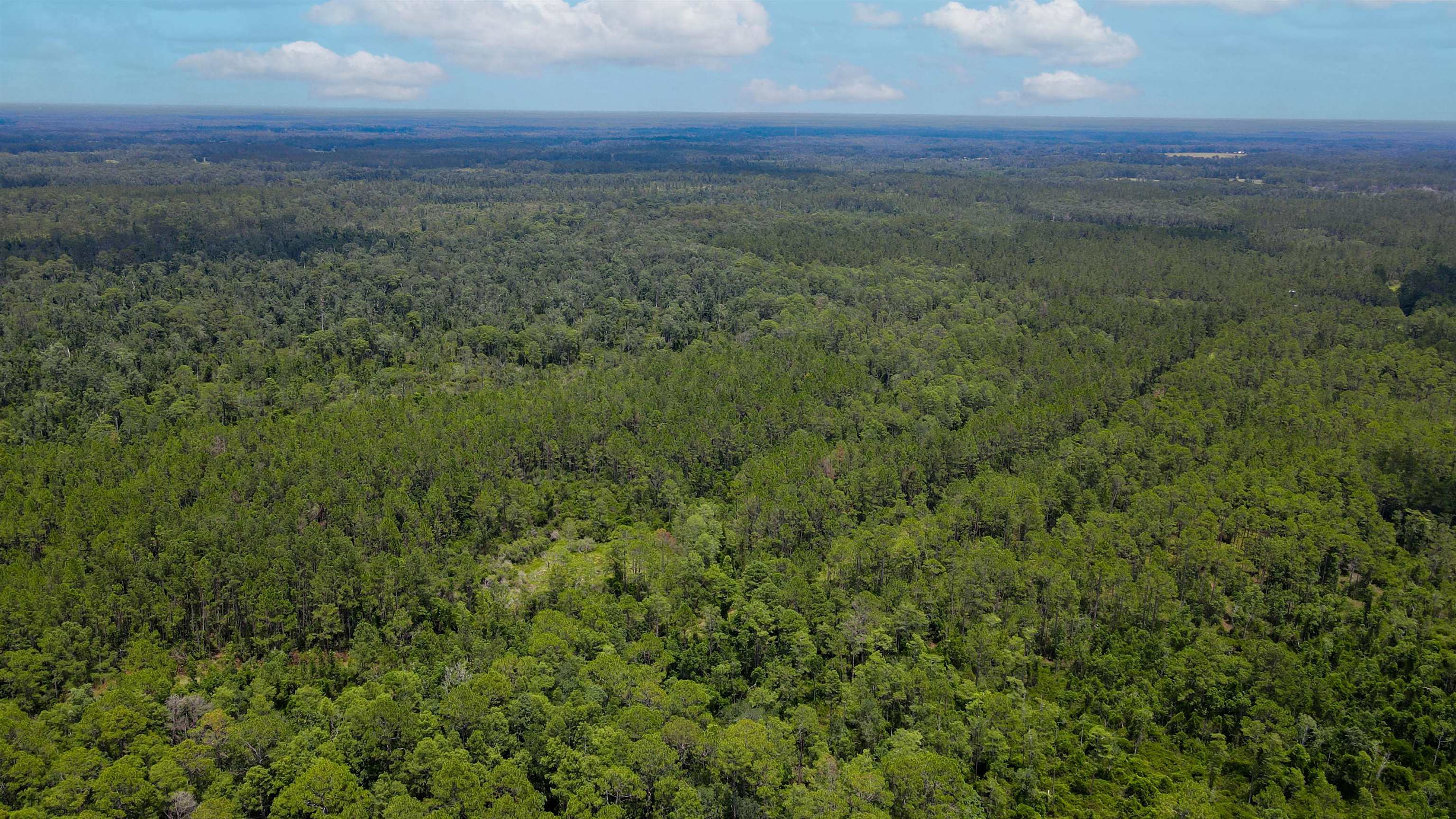 Lot 115 Southwest Lot Road Greenville, FL 32331 - Photo 10 of 12
