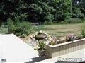65800 Campground Road Washington, MI 48095 - Photo 3 of 25 Photo2.jpg