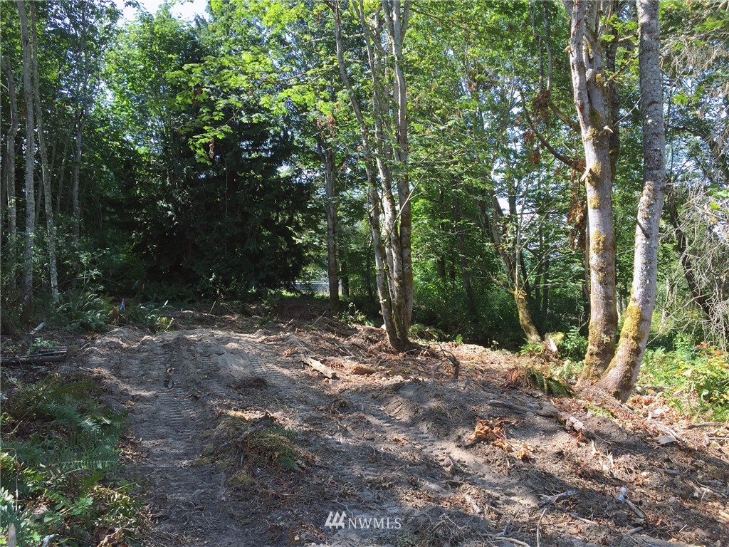 9999 Roundtree Road Port Angeles, WA 98362 - Photo 11 of 20 Gallery Image 11
