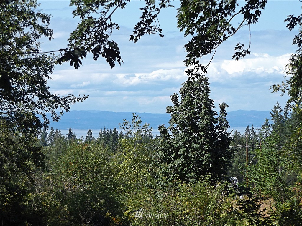 9999 Roundtree Road Port Angeles, WA 98362 - Photo 18 of 20 Gallery Image 18