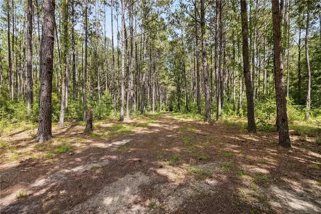 $399,000 | 64450 J Catha Drive, Amite, LA 70422