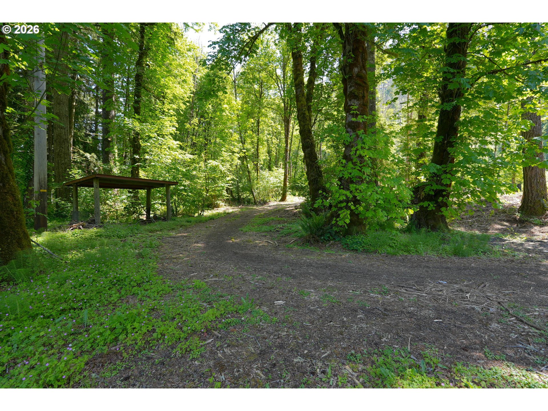Goodpasture Road, Unit 1809 Vida, OR 97488 - Photo 8 of 24