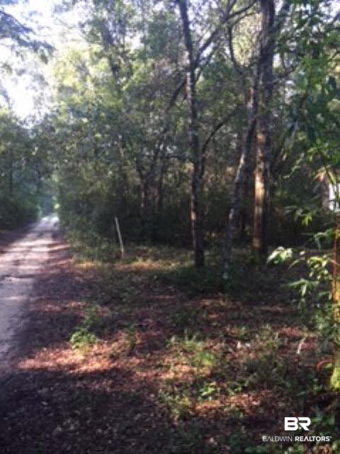 0 Wayburn Road Seminole, AL 36574 - Photo 2 of 8