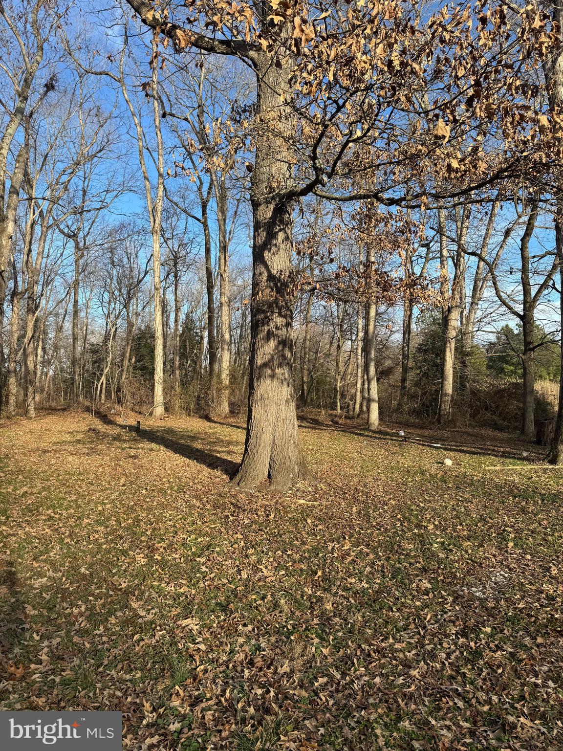 11289 Gregg Road Denton, MD 21629 - Photo 12 of 26