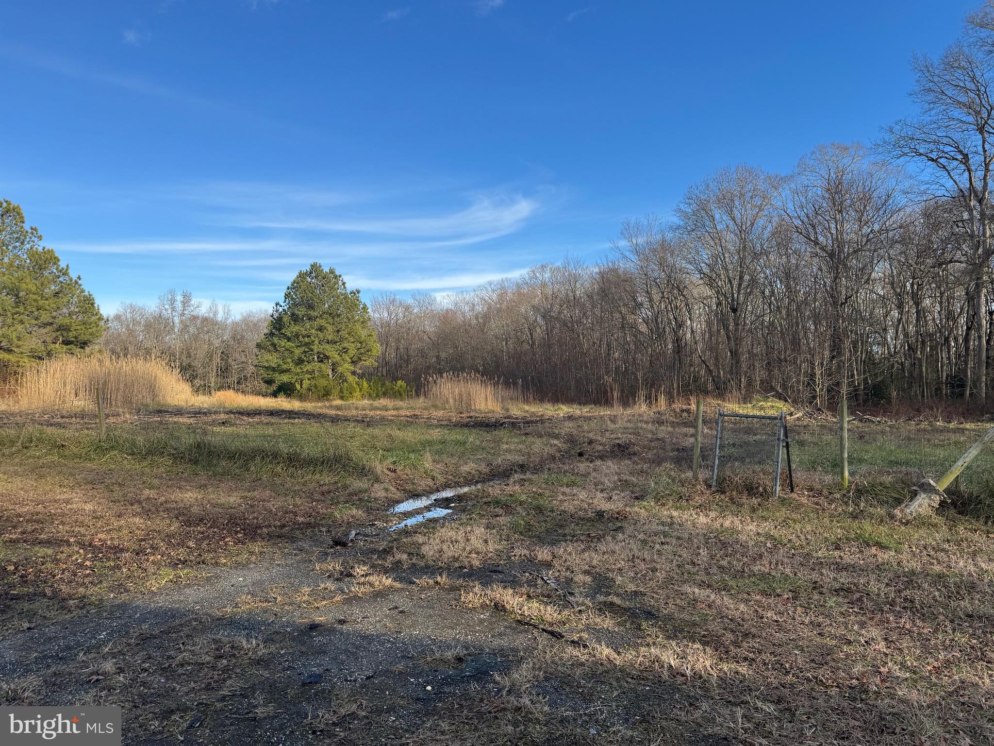 11289 Gregg Road Denton, MD 21629 - Photo 13 of 26