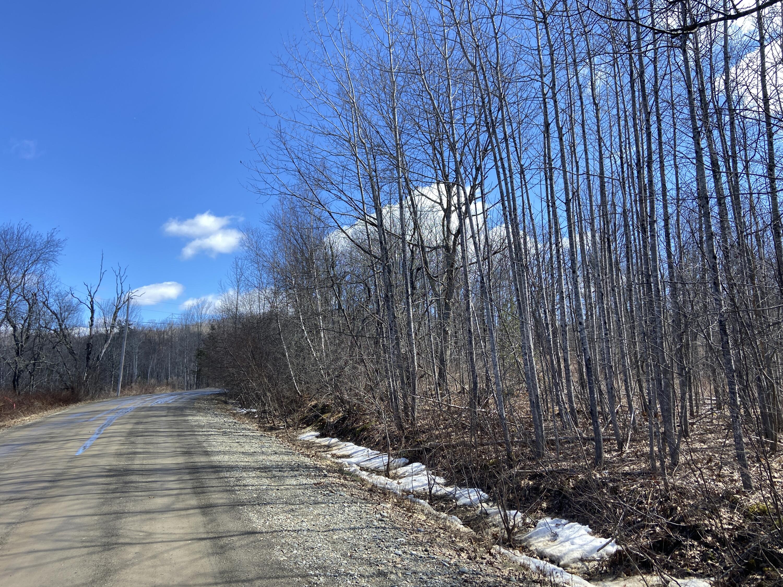 Lot C2 Chandler Road Monroe, ME 04951 - Photo 2 of 7 DFB9AA3D-8B92-4E50-A9C6-F106E0573C44