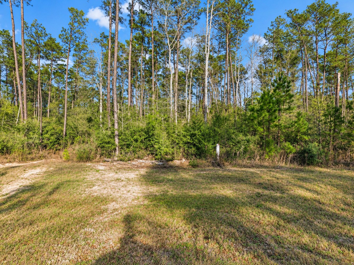 10721 Ruger Road Willis, TX 77378 - Photo 1 of 24 Gallery Image 1
