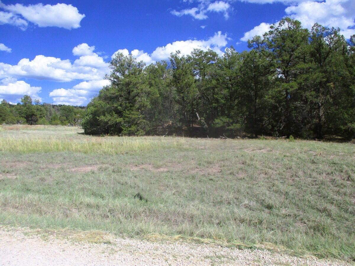 Lot 5 Copperweed Road Ramah, NM 87321 - Photo 13 of 88 Gallery Image 13