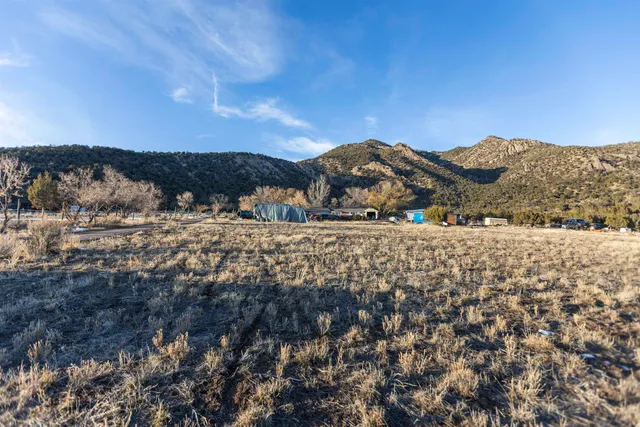 a view of large trees with a mountain in the background