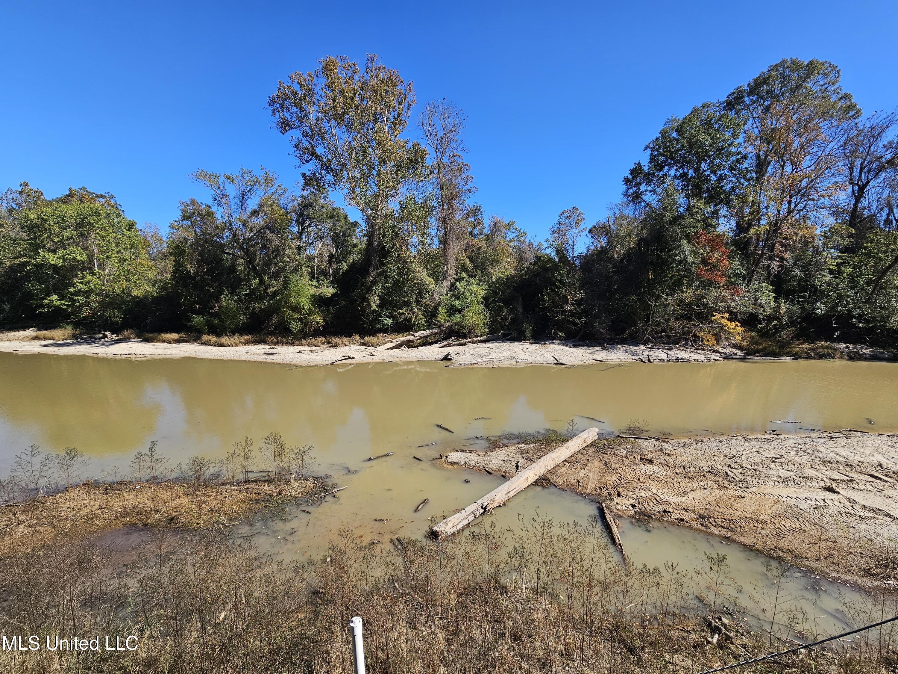 146 Oak Point Road Picayune, MS 39466 - Photo 40 of 40 Your back yard the Pearl River