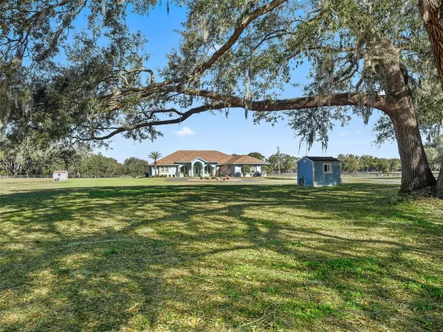 a view of a large trees with a big yard