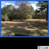 1.5-acres Weaver Loop Georgetown, SC 29440 - Photo 1 of 2 Gallery Image 1