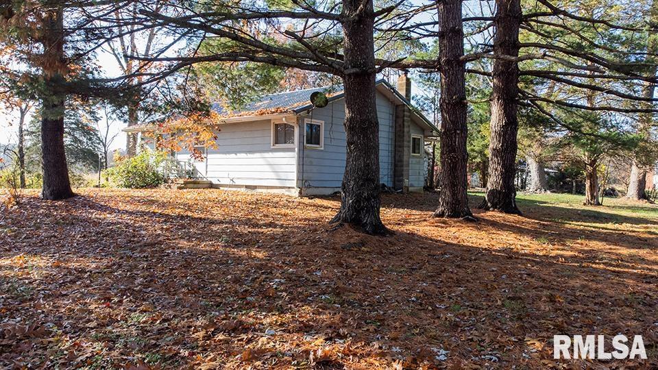 7319 Malone Road Alma, IL 62807 - Photo 1 of 11