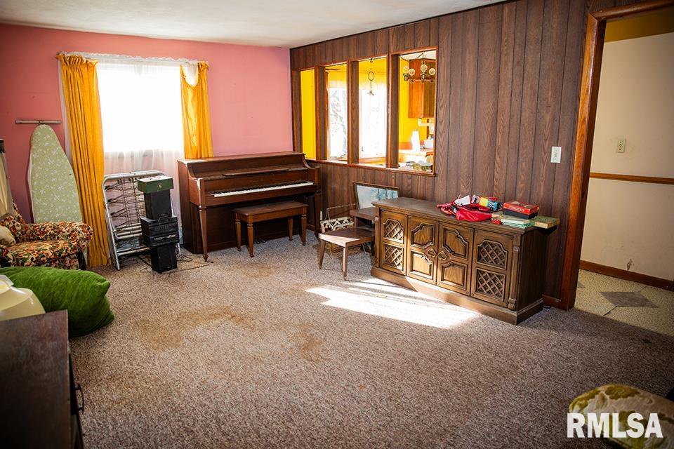 7319 Malone Road Alma, IL 62807 - Photo 3 of 11